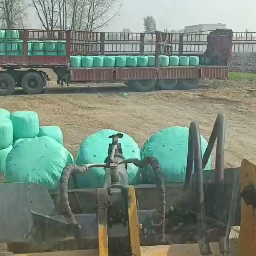 怀远县玉米青贮