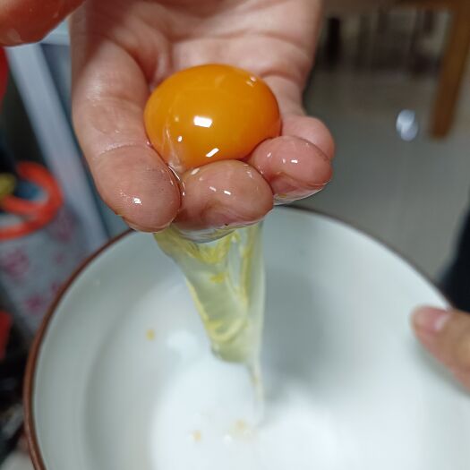 翁源县鸡肉类 广东省韶关市翁源县龙仙土鸡蛋