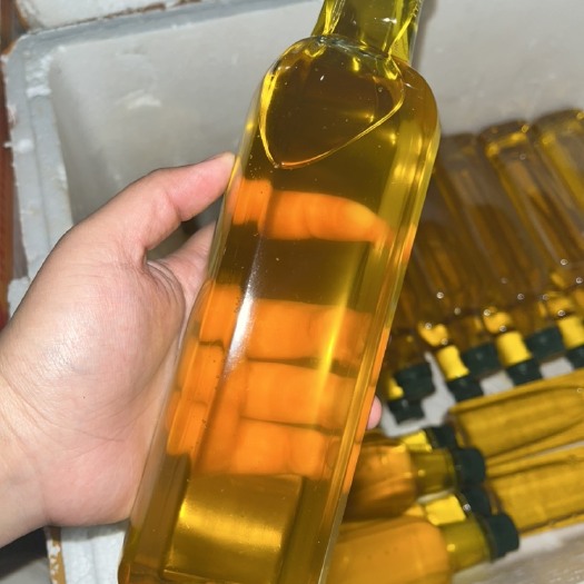 天峨县鲜榨茶油 可一斤分装可大量批购