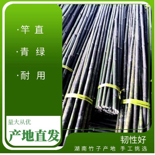 4米到7米西瓜棚搭架竹,麻竹,黄金竹