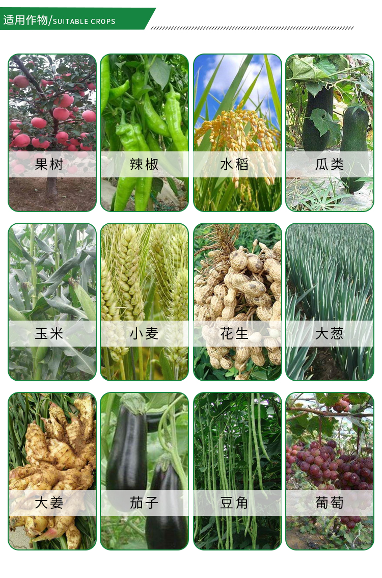 蓟马专用药甲维盐月季花卉茄子豆角草莓芒果柑橘果树农药杀虫剂