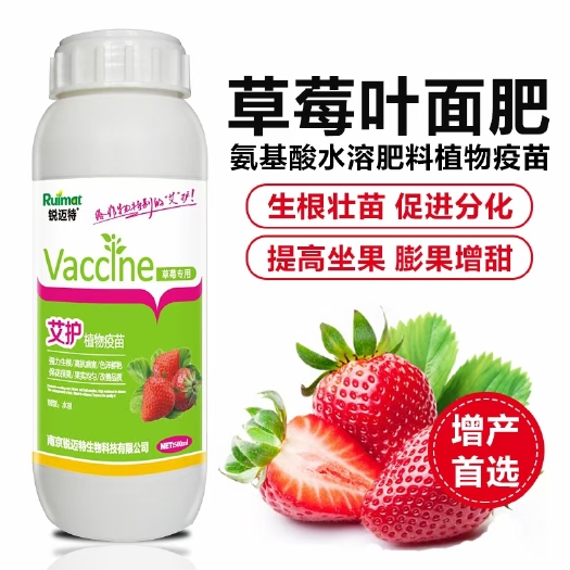 南京草莓叶面肥，生根壮苗、促进分化、提高坐果、膨果增甜！
