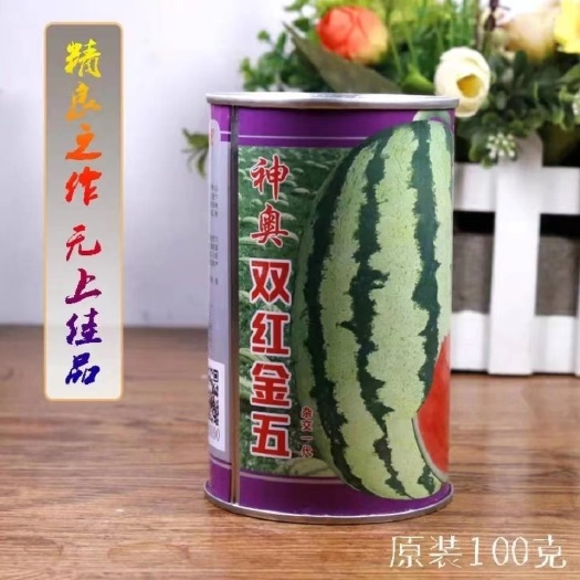双红金五西瓜种子特大红金城5号压砂瓜石头瓜石缝瓜高产抗病春季