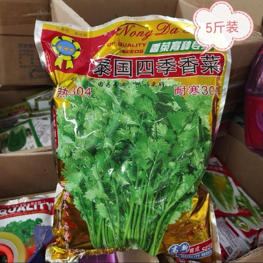 西安泰国四季大叶香菜种子耐热耐寒耐抽苔 5斤装