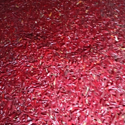 郏县辣椒，干辣椒，非常新鲜