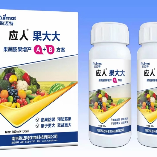 南京果大大～果大果美