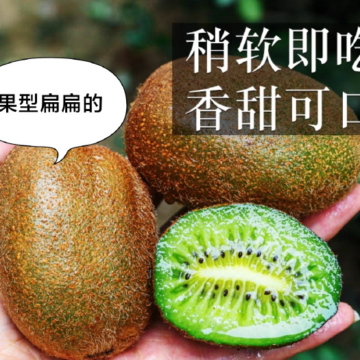 自家果园翠香猕猴桃