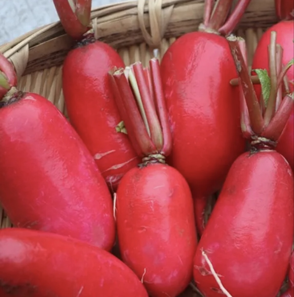 天门市红皮萝卜电商规格市场规格按需做货产地直发欢迎咨询考察长期合作