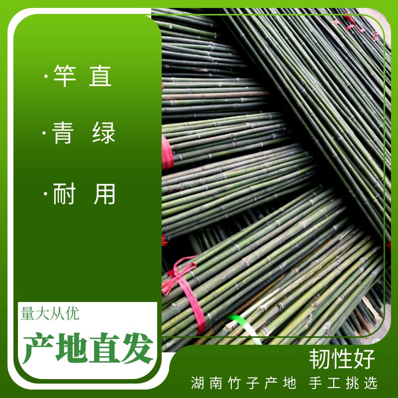 衡阳县2米5菜架竹各类竹竿大量供应