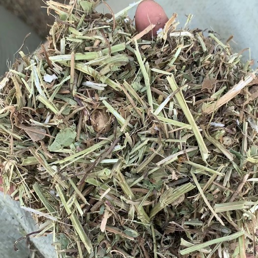 浚县花生秧