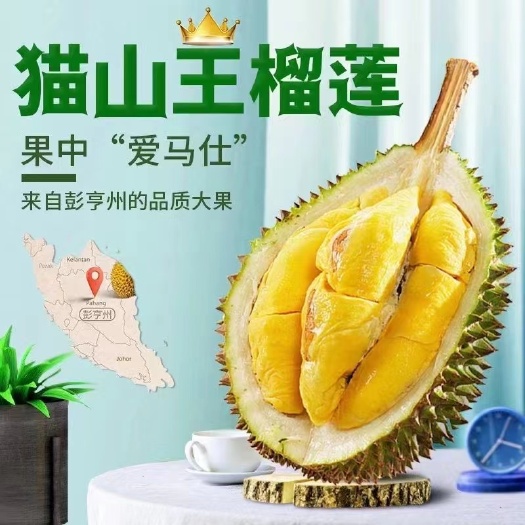 嘉兴马来西亚猫山王D197榴莲