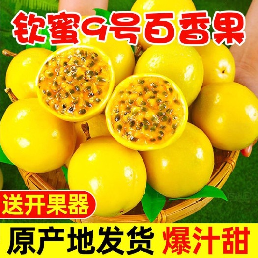 南宁【高锻超甜】钦蜜9号新鲜黄金百香果鲜果水果批发价