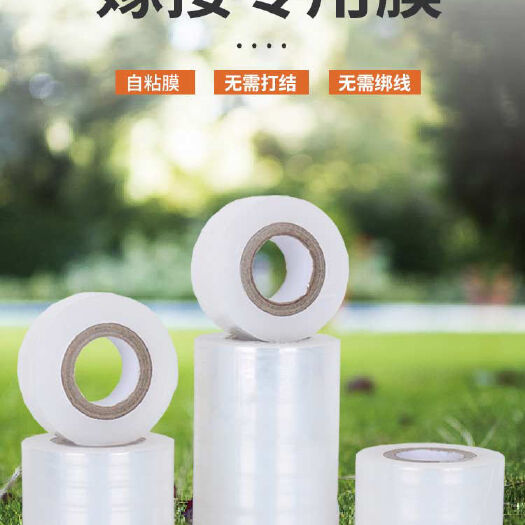 东莞市专业PE嫁接膜苗木果树专用膜缠绕膜自粘打包膜免打结透明拉伸薄