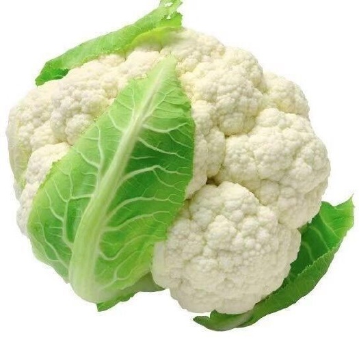 瑞安市白花菜花
