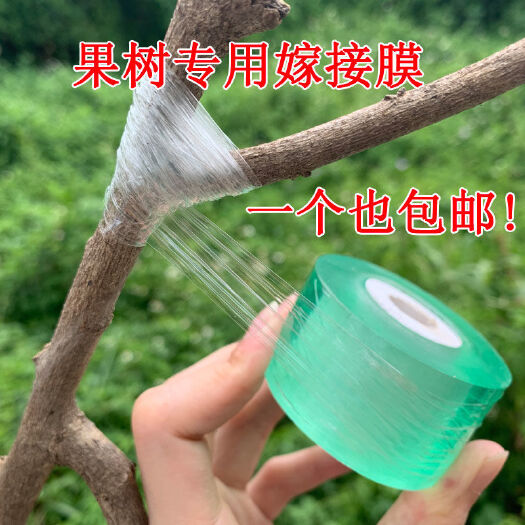东莞市嫁接膜接树果树缠绕膜嫁接专用塑料薄膜自粘环保透明拉伸膜保温膜