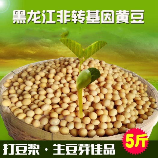 巴彦县黄豆黑龙江北大荒