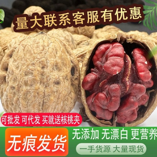 2024新果直发红皮核桃 红衣核桃 核桃坚果