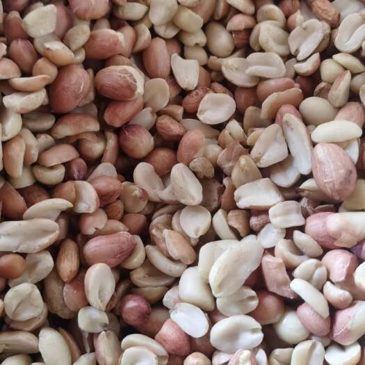 社旗县花生米大白瓣 花生米辦米 油料花生米 打浆米