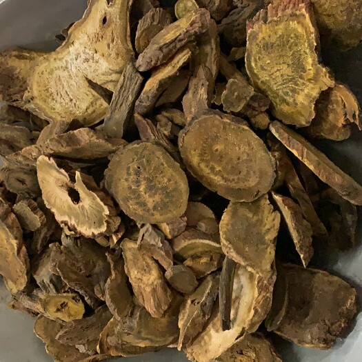 鄄城县大黄  马蹄大黄 无硫 统货