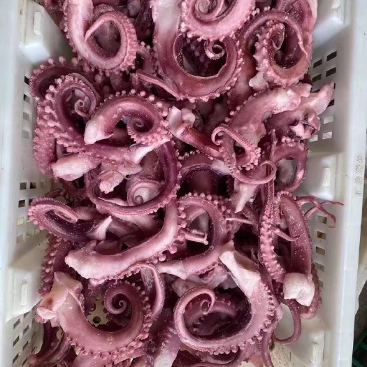 深圳章鱼须