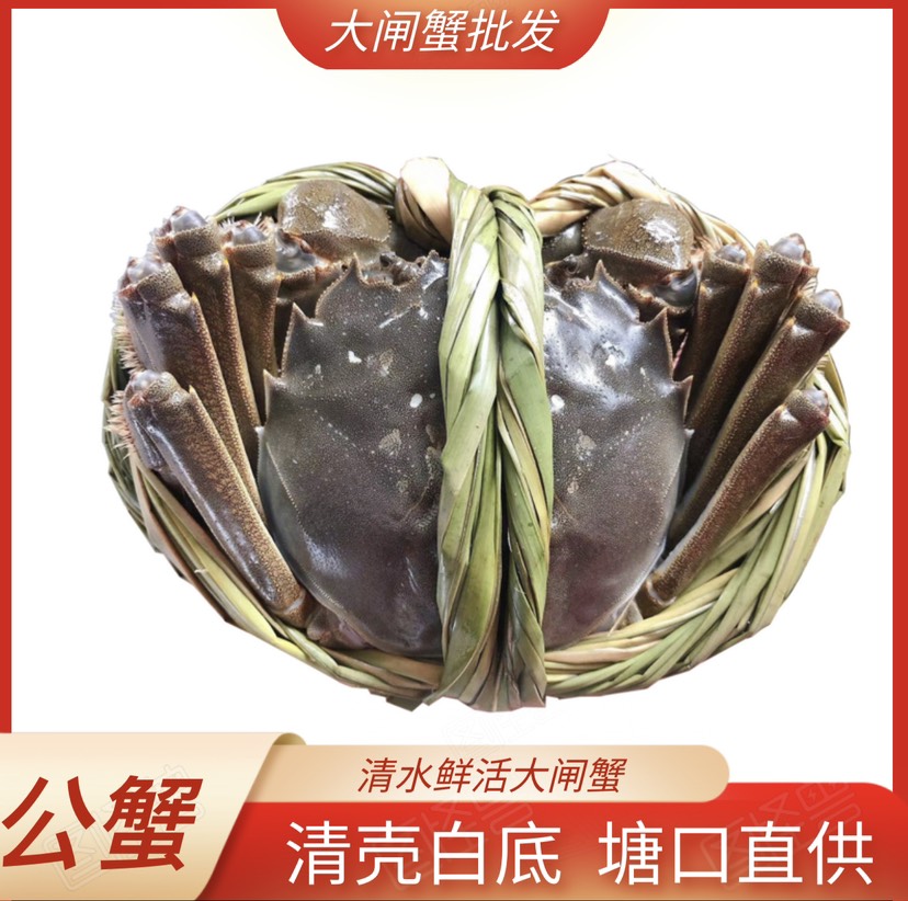 洪湖市湖北大闸蟹公蟹