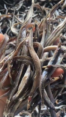 东港市东港银鱼干，沙里钻，全是籽天然晾晒