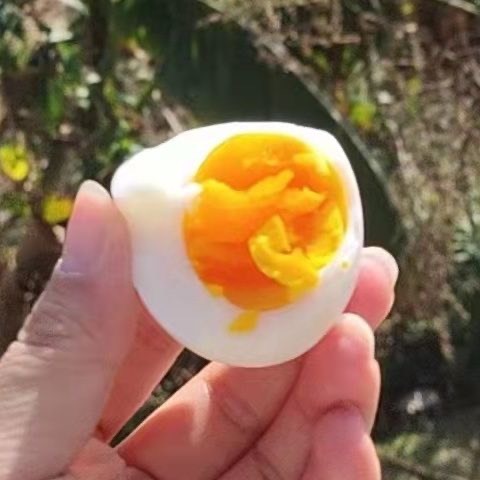 昆明云南土鸡蛋