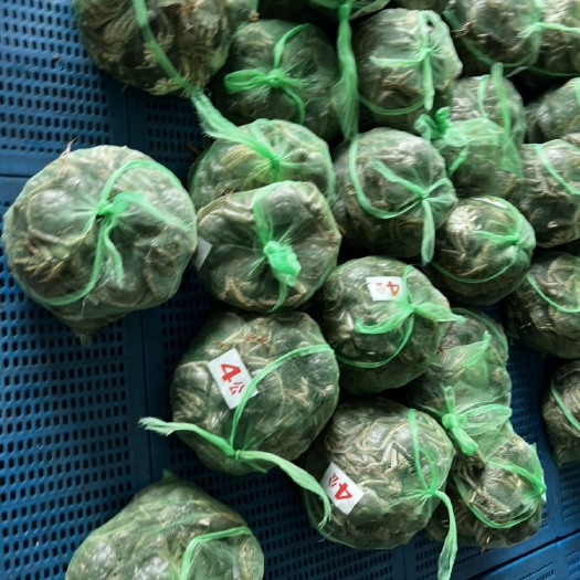 兴化市大闸蟹 兴化红膏大闸蟹 螃蟹
