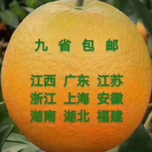 瑞金市江西省赣州市瑞金市，每一颗都是赣南脐橙，只为遇见你！