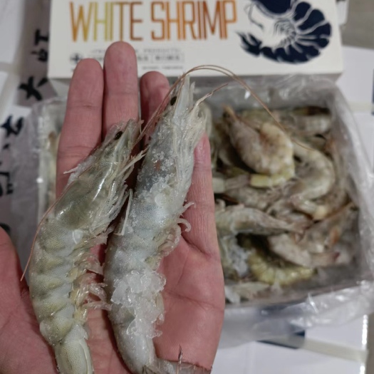 中牟县盐冻大虾