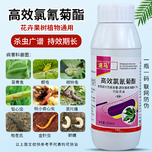 新沂市高效氯氰菊酯菜青虫小菜蛾吊丝虫蔬菜花卉玉米果树农药杀虫剂