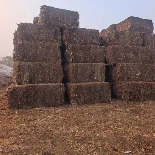 临泉县玉米秸秆压包