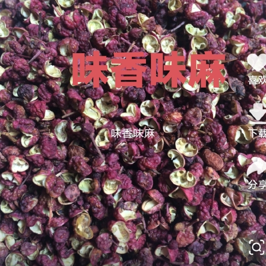 韩城市韩城大红袍花椒，生长与自然环境下，气候温差大，味道天然纯正。