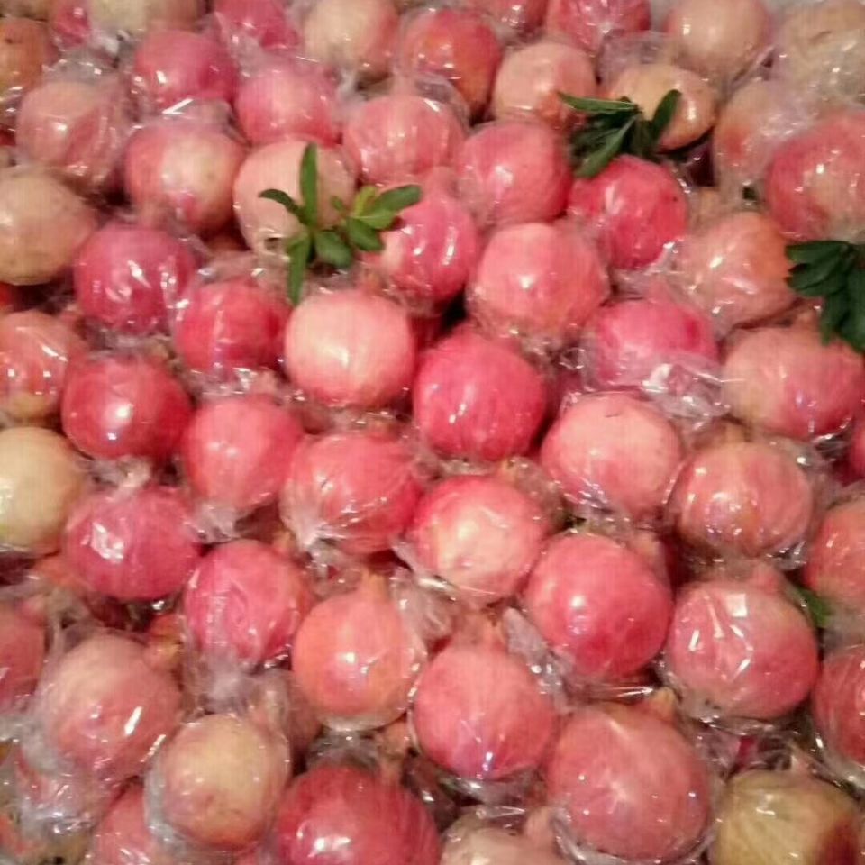 临潼石榴净皮石榴果园直发各种规格250克～400克