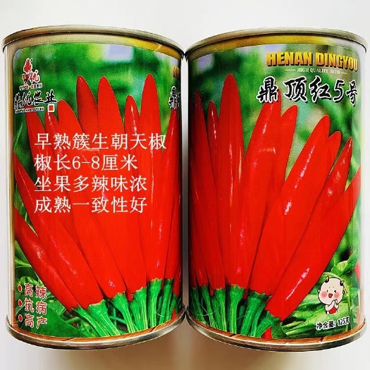 扶沟县鼎顶红5号朝天椒种子大果籽粒多饱满坐果的果实脱水快8厘米
