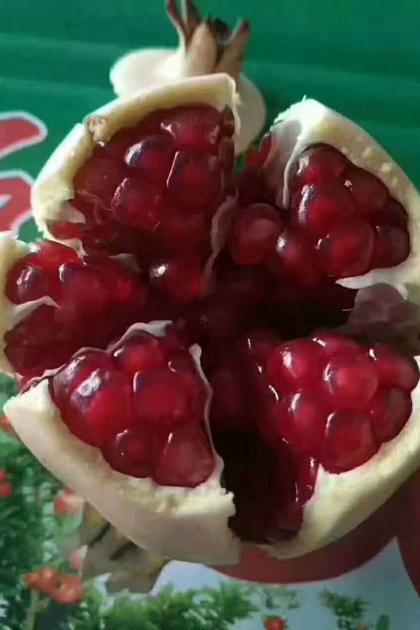 临潼石榴净皮石榴果园直发各种规格250克～400克