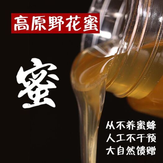 卓尼县高原土蜂蜜