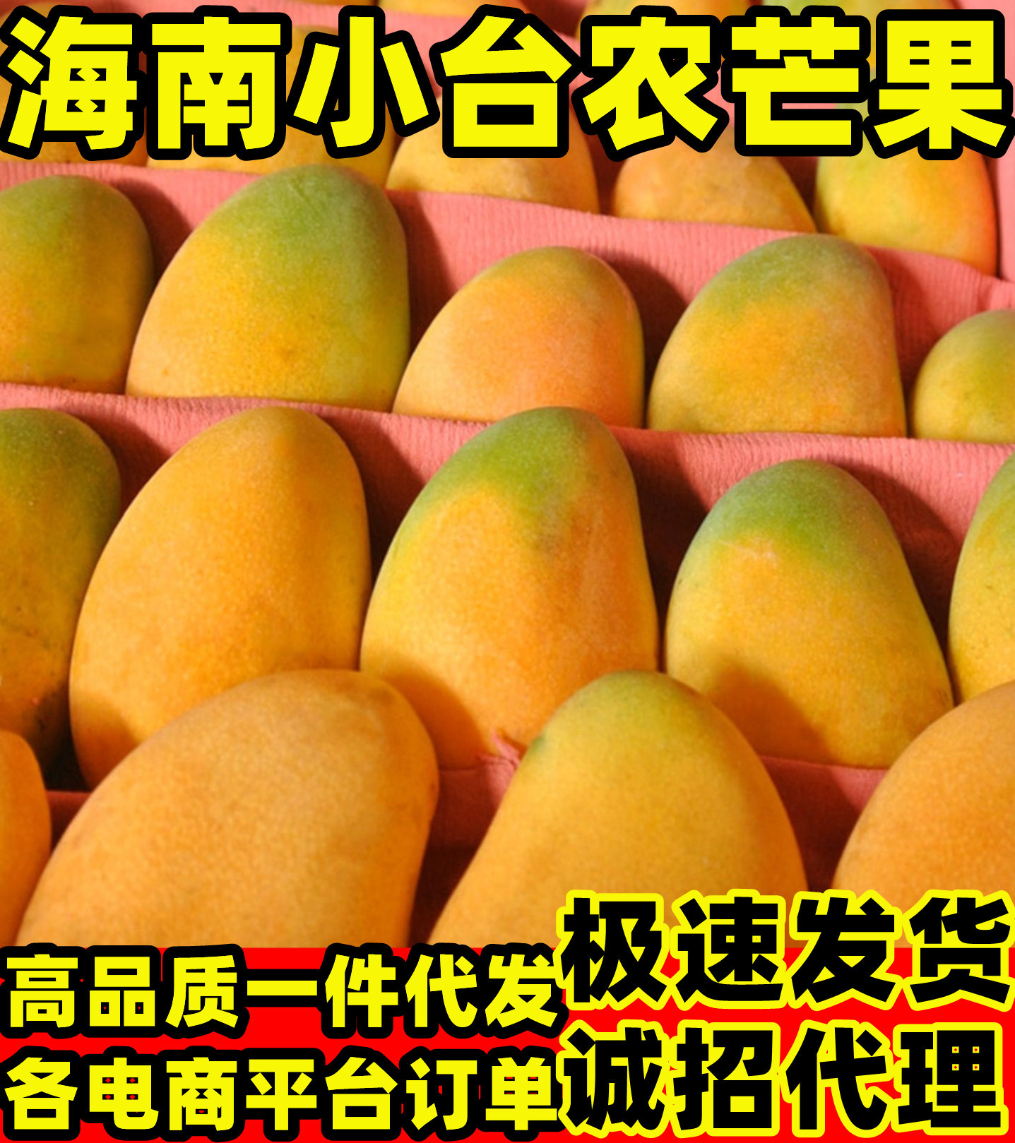 三亚【招代理】海南小台芒芒果9斤装新鲜采摘芒果一件代发