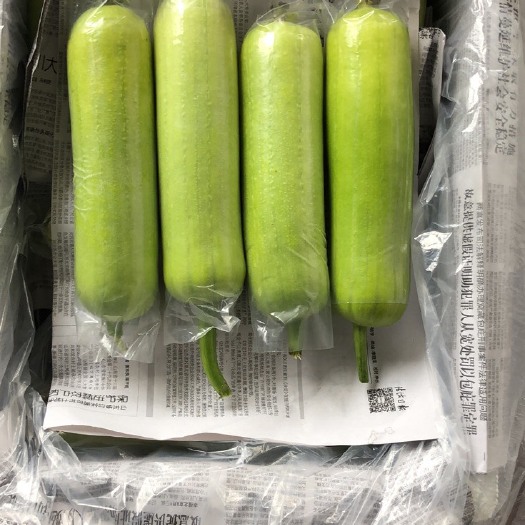 平和县精品白丝瓜，