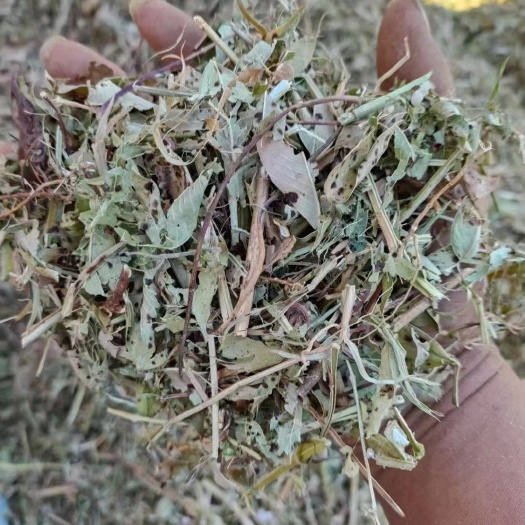 延津县花生秧草料草粉