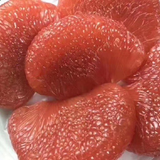灵山县红宝石青柚，南北方可以种植批发价