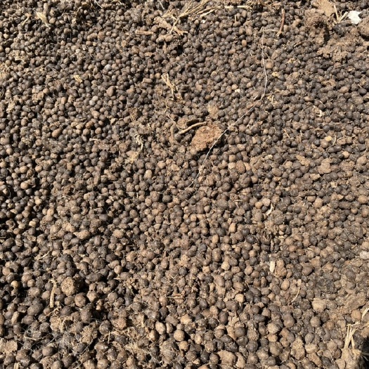 高安市干爽纯颗粒羊粪
