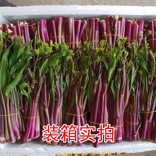 汉川市汉川红心菜苔