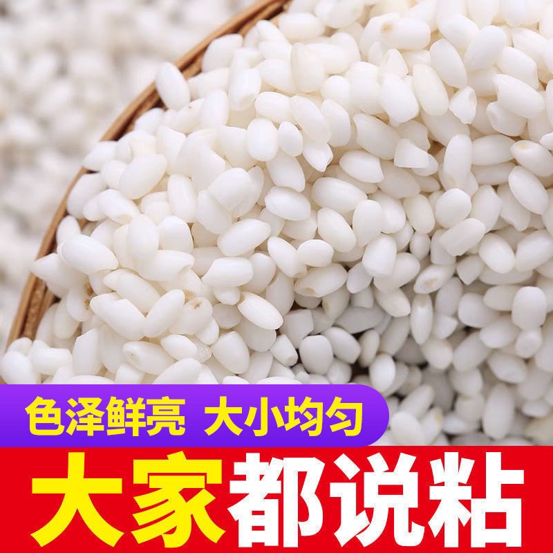 【东北白糯米】新江米粘糯米圆粒包粽子酿酒【全场包邮】