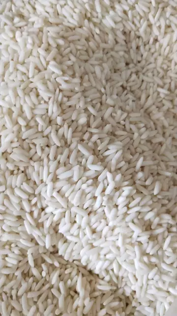 海阳市沽头大米