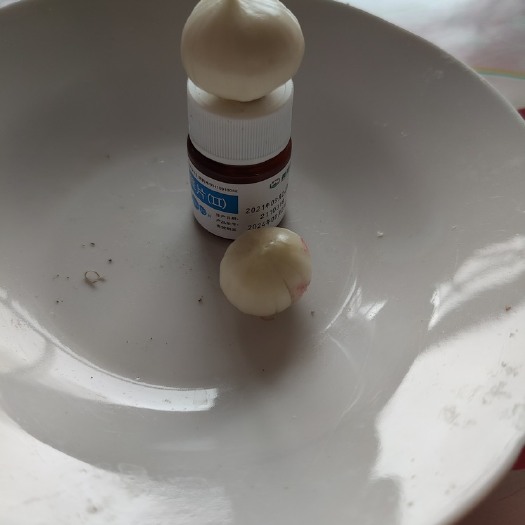 应县独头紫皮蒜