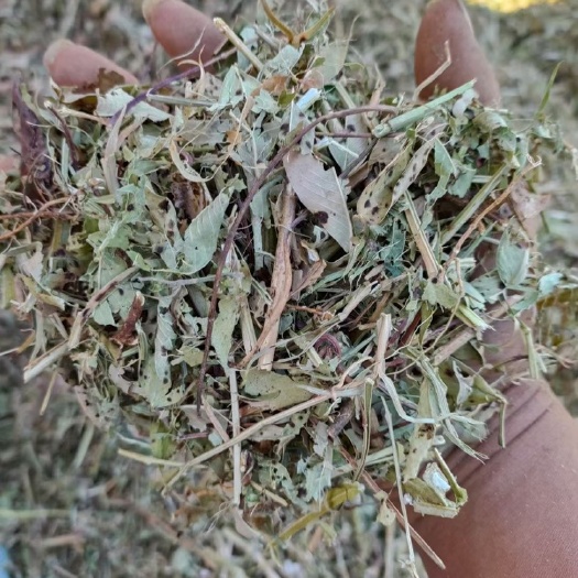 延津县花生秧草料草粉