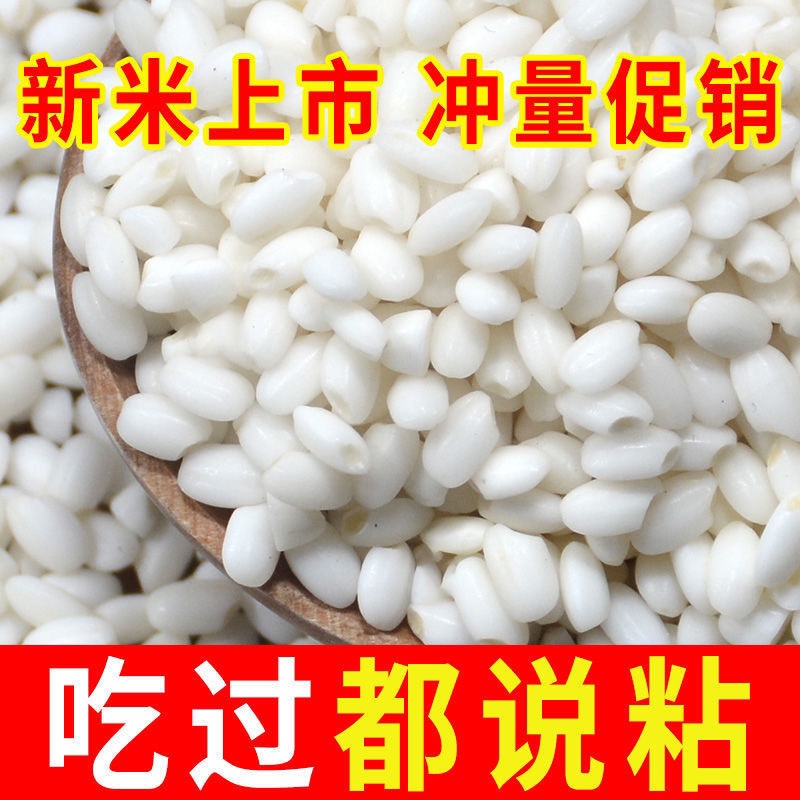 【东北白糯米】新江米粘糯米圆粒包粽子酿酒【全场包邮】