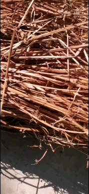 天门市透骨草8元每斤，自然晾晒无硫无霉。