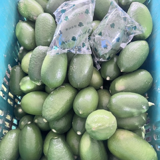 海口海南香水柠檬